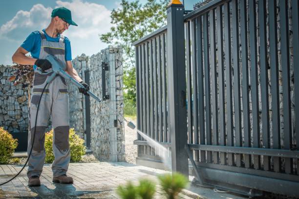 Best Graffiti Removal  in Livingston, TX
