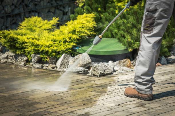 Boat and Dock Cleaning in Livingston, TX