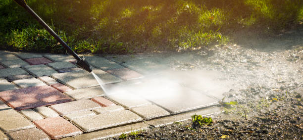 Best Fleet Vehicle Washing  in Livingston, TX